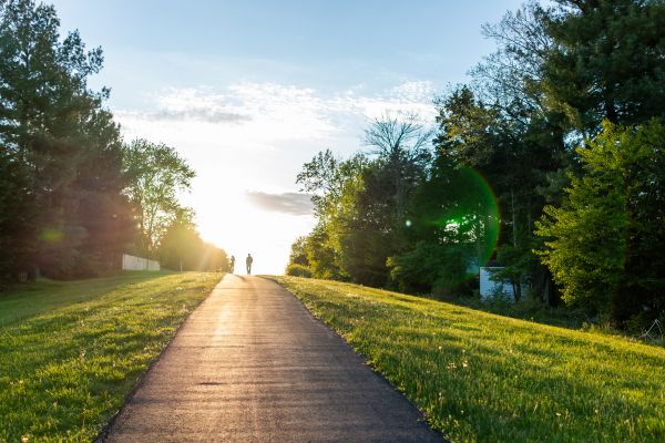 Asphalt Pathway Installation in Summerfield