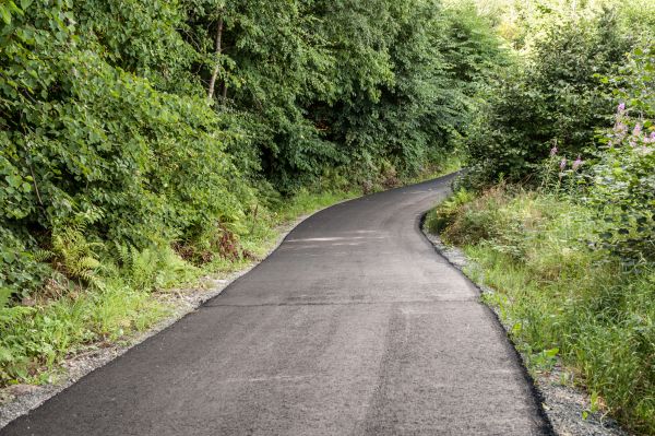Asphalt Driveway Replacement in Summerfield